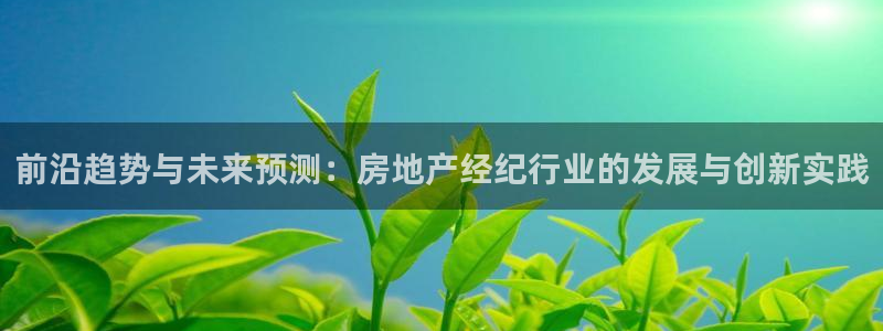 和记网址官网：前沿趋势与未来预测：房地产经纪行业的发展与创新