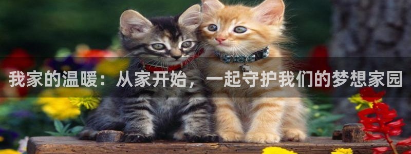 和记娱乐 官网：我家的温暖：从家开始，一起守护我们的梦想家园