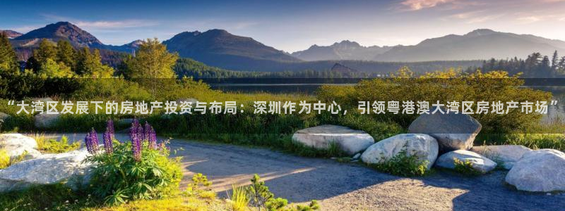 小金库钱包app下载官网和记：“大湾区发展下的房地产投资与布