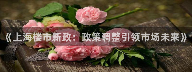 和记娱真心推荐h88285官网：《上海楼市新政：政策调整引领