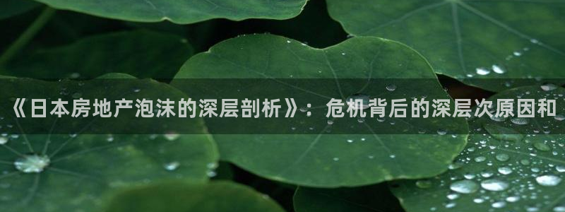 和记官网 (中国区)官方网站：《日本房地产泡沫的深层剖析》：