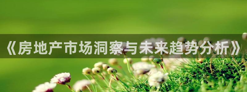 和记混凝土官网：《房地产市场洞察与未来趋势分析》