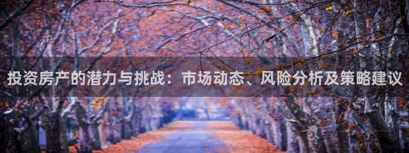 和记国际有限公司官网：投资房产的潜力与挑战：市场动态、风险分