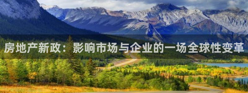 和记官网app是谁的：房地产新政：影响市场与企业的一场全球性