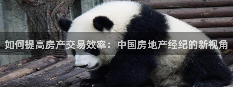和记旗舰官网