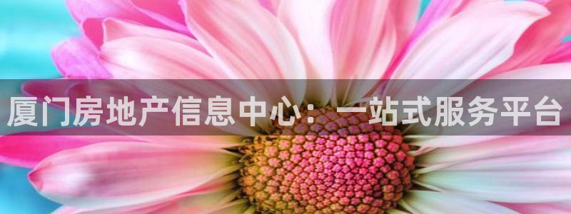 菲律宾和记官网：厦门房地产信息中心：一站式服务平台