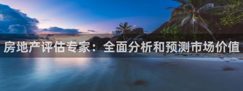 和记娱的确好h88285官网：房地产评估专家：全面分析和预测
