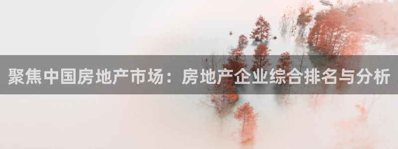 和记h188官网：聚焦中国房地产市场：房地产企业综合排名与分