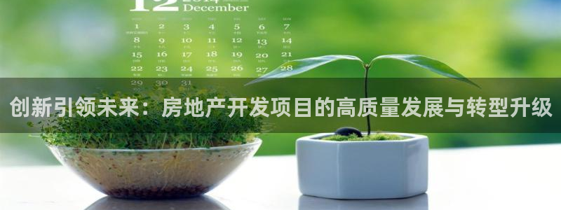 和记娱技精h88285官网：创新引领未来：房地产开发项目的高