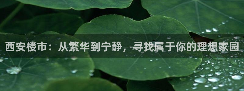 和记网站官网：西安楼市：从繁华到宁静，寻找属于你的理想家园