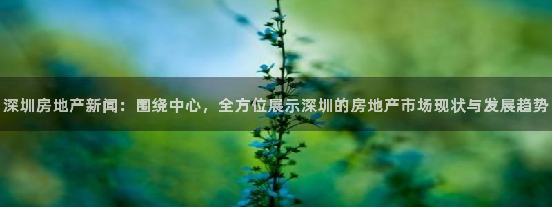 和记手机客户端官网：深圳房地产新闻：围绕中心，全方位展示深圳