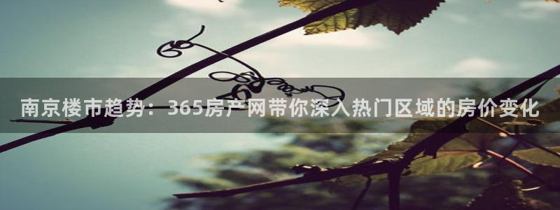 和记娱就问h88285官网：南京楼市趋势：365房产网带你深