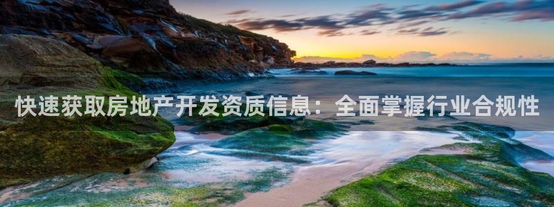 和记旗舰官网：快速获取房地产开发资质信息：全面掌握行业合规性