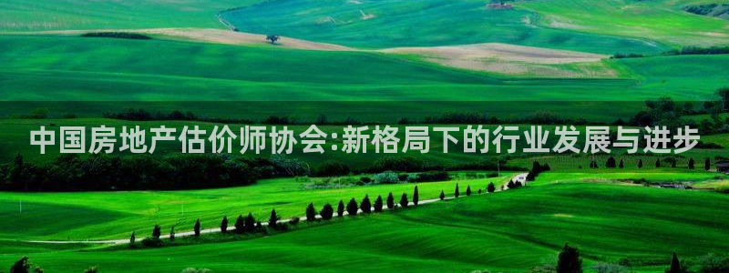 和记官网登陆：中国房地产估价师协会:新格局下的行业发展与进步