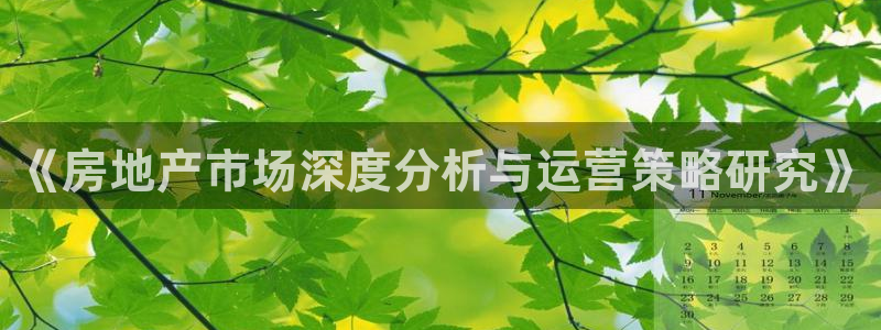 和记官网加盟：《房地产市场深度分析与运营策略研究》