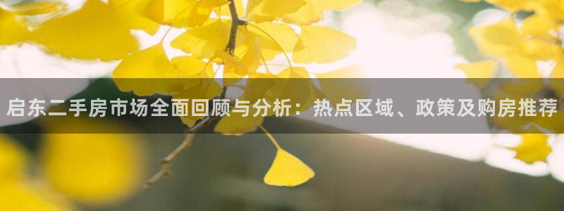 香港和记集团官网