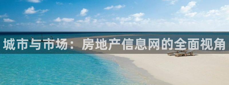 和记电官网：城市与市场：房地产信息网的全面视角