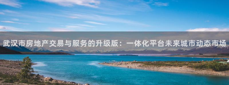 缅甸和记平台官网：武汉市房地产交易与服务的升级版：一体化平台