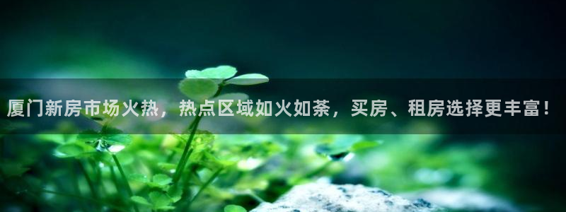 和记游戏官网：厦门新房市场火热，热点区域如火如荼，买房、租房