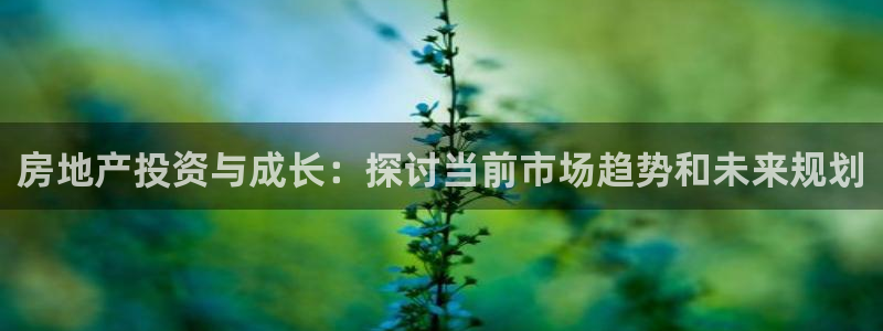 桃源记九游和官网