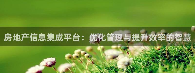 长江和记有限公司官网：房地产信息集成平台：优化管理与提升效率