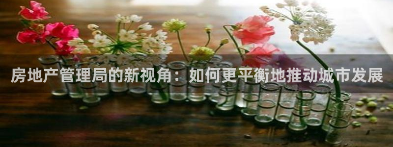 和记官网进入：房地产管理局的新视角：如何更平衡地推动城市发展