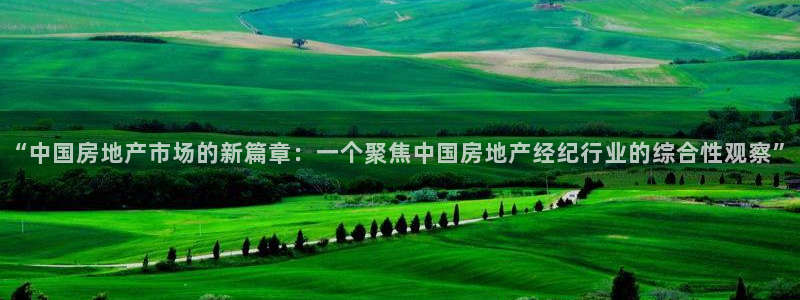 果博官网和记：“中国房地产市场的新篇章：一个聚焦中国房地产经