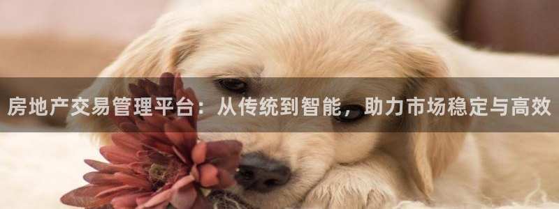 澳门3和记官网：房地产交易管理平台：从传统到智能，助力市场稳