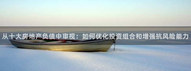 和记大合城dk2官网：从十大房地产负债中审视：如何优化投资组