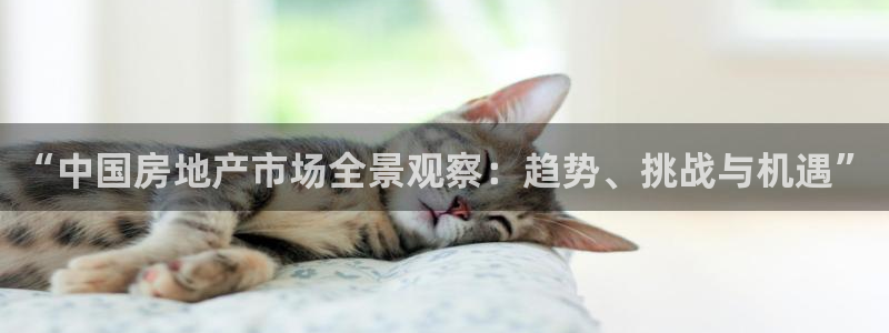 和兴记官网：“中国房地产市场全景观察：趋势、挑战与机遇”