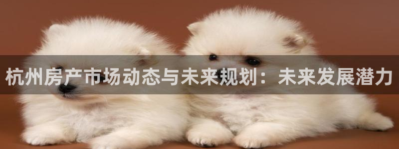 和记隆官网：杭州房产市场动态与未来规划：未来发展潜力