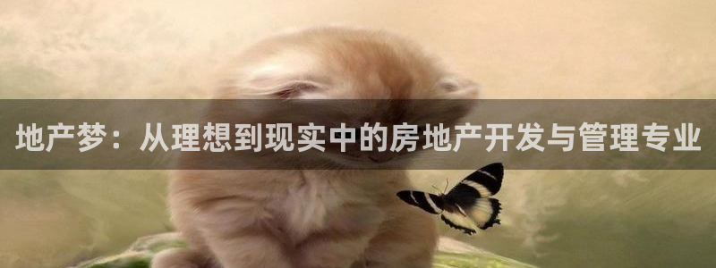 香港3和记官网：地产梦：从理想到现实中的房地产开发与管理专业