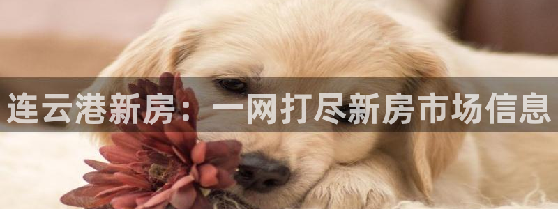 和记娱乐旗舰官网：连云港新房：一网打尽新房市场信息