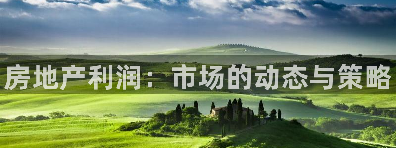 和记官网客户端：房地产利润：市场的动态与策略