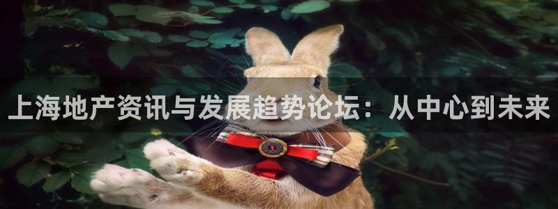 hgc和记官网：上海地产资讯与发展趋势论坛：从中心到未来