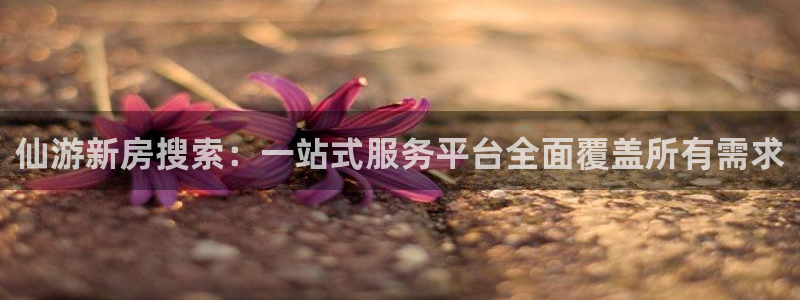 三宇和记官网：仙游新房搜索：一站式服务平台全面覆盖所有需求