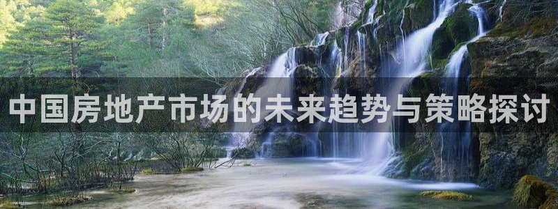 缅甸和记官网：中国房地产市场的未来趋势与策略探讨