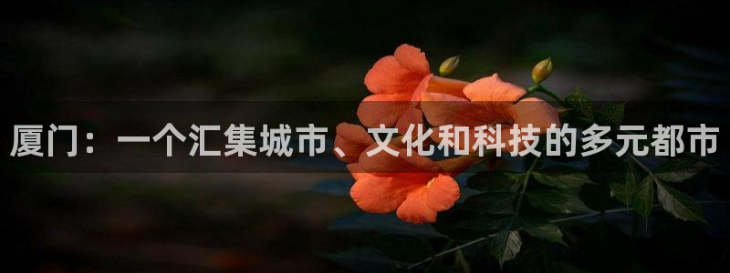 和记h88game官网：厦门：一个汇集城市、文化和科技的多元
