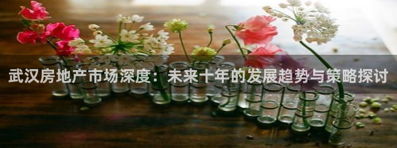 和记洋行官网：武汉房地产市场深度：未来十年的发展趋势与策略探