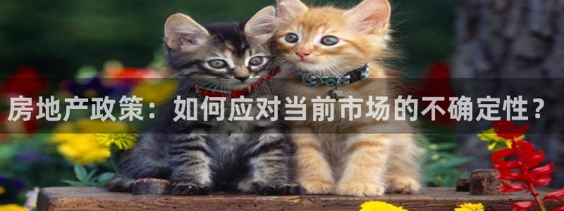 和记怡情视频官网：房地产政策：如何应对当前市场的不确定性？