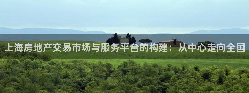 和记娱乐怡情博官网：上海房地产交易市场与服务平台的构建：从中