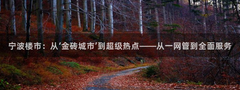 和记娱实惠h88285官网：宁波楼市：从‘金砖城市’到超级热
