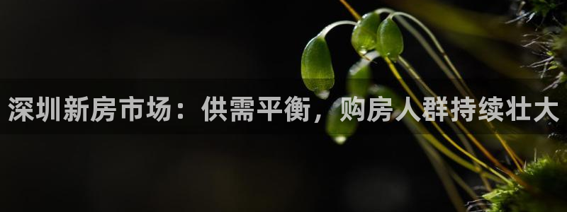香港和记黄埔官网：深圳新房市场：供需平衡，购房人群持续壮大
