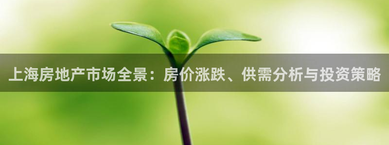 和记娱乐h8官网：上海房地产市场全景：房价涨跌、供需分析与投