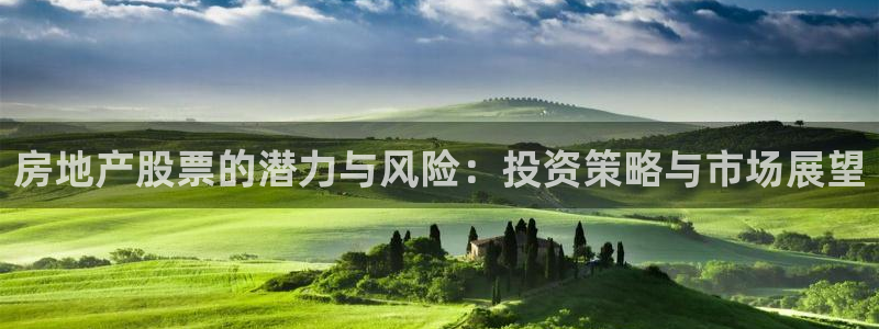 和记 中国官网：房地产股票的潜力与风险：投资策略与市场展望