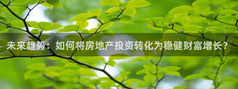 武汉和记黄埔官网：未来趋势：如何将房地产投资转化为稳健财富增