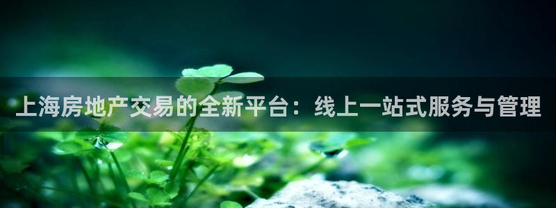 和记怡情博物官网：上海房地产交易的全新平台：线上一站式服务与