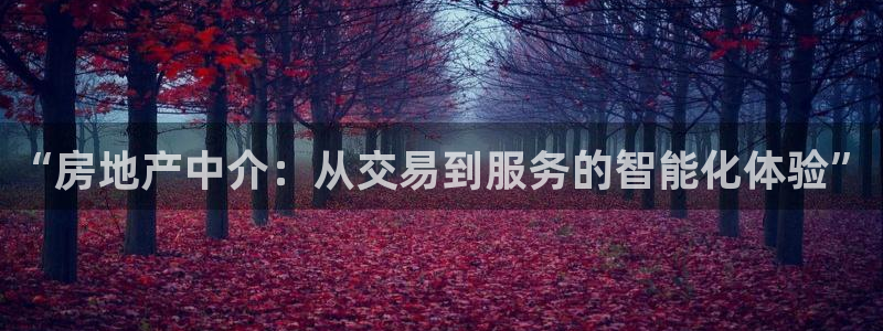 和记h188怡情官网：“房地产中介：从交易到服务的智能化体验