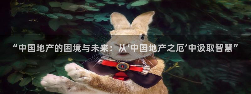 和记官网进入：“中国地产的困境与未来：从‘中国地产之厄’中汲