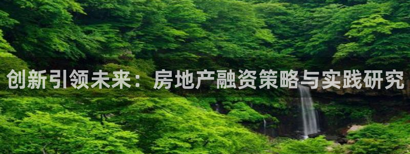 和记娱乐平台官网：创新引领未来：房地产融资策略与实践研究